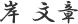 岸 文章